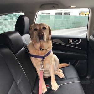 Meet your Posher, Debbie